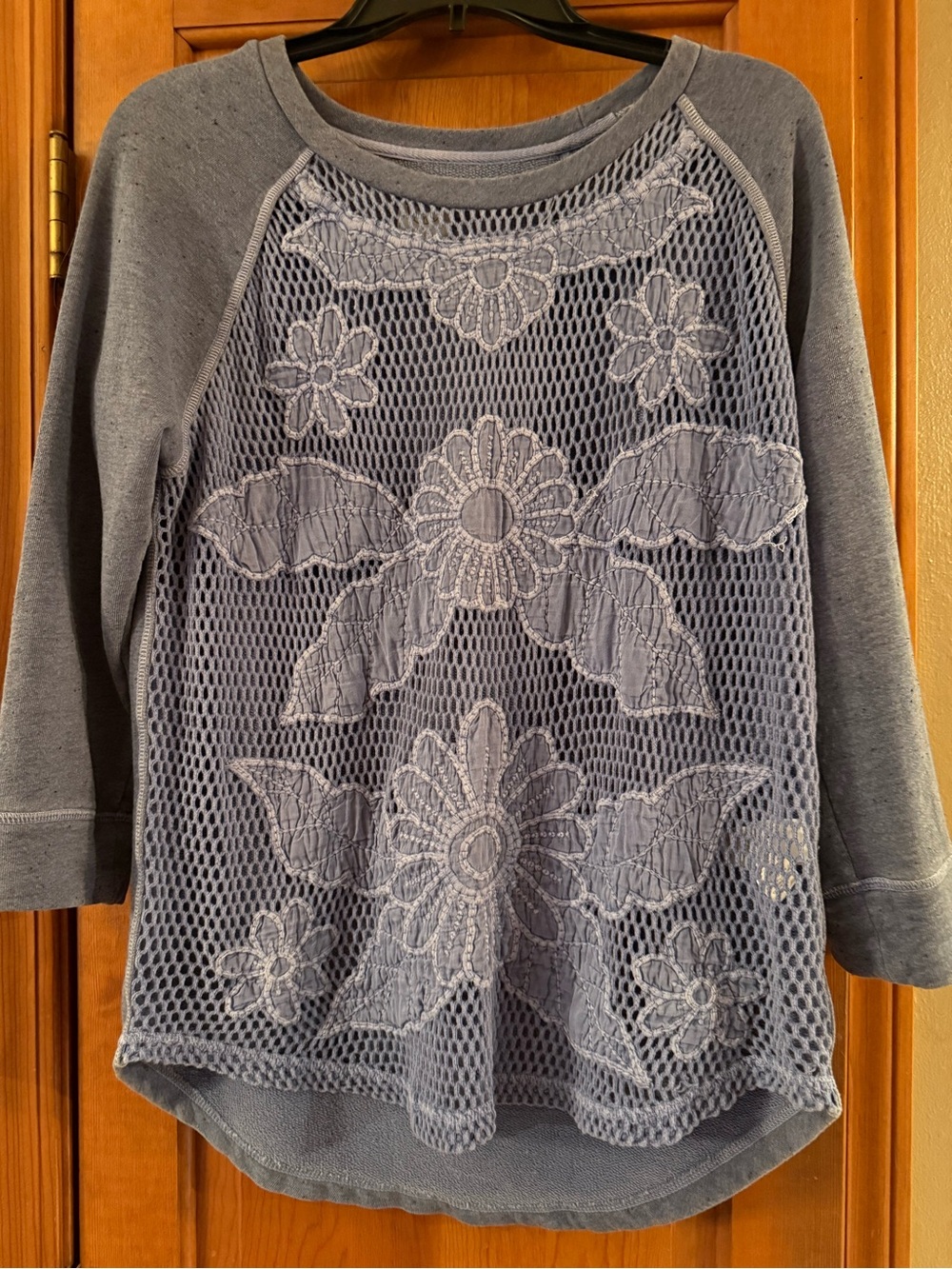 Women's Lace Mesh Floral Pullover Top - Blue